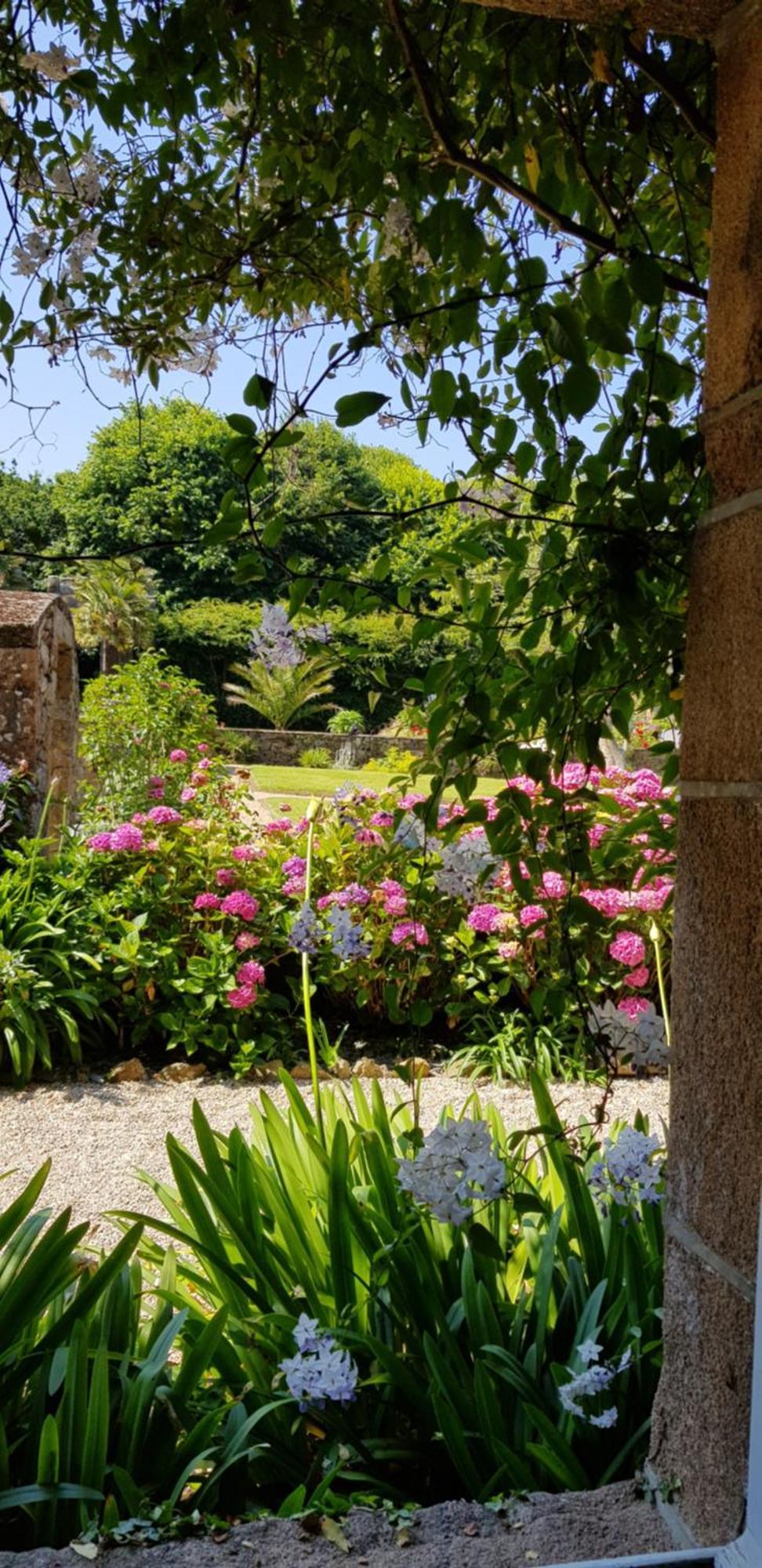 Manoir De Keringant Vendégház Saint-Quay-Perros Kültér fotó